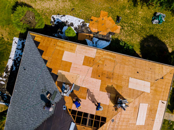 Best Roof Gutter Cleaning  in Camden, AL