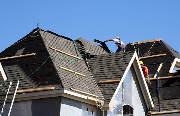 Roof Waterproofing Services in Camden, AL