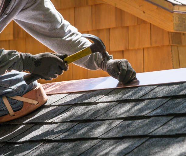 Roof Gutter Cleaning in Camden, AL